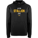 Spring Valley Academy Stallions <span class="pdp-name-mascot">Spring Valley Academy Stallions</span> BSN SPORTS Men's Recruit Hoodie Front Thumbnail