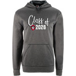 Bryn Athyn College The Official Store of the Lions <span class="pdp-name-mascot">Bryn Athyn College Lions</span> BSN SPORTS Men's Recruit Hoodie Front Thumbnail