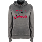 Sawtooth Sabercats <span class="pdp-name-mascot">Sawtooth Sabercats</span> BSN SPORTS Women's Recruit Hoodie Front Thumbnail