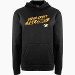 Cedar Crest Falcons Falcons BSN SPORTS Youth Recruit Hoodie Front Thumbnail