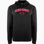 COCKE COUNTY HIGH SCHOOL FIGHTING COCKS <span class="pdp-name-mascot">COCKE COUNTY FIGHTING COCKS</span> BSN SPORTS Youth Recruit Hoodie Front Thumbnail