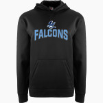 PARKVIEW CHRISTIAN ACADEMY FALCONS <span class="pdp-name-mascot">PARKVIEW CHRISTIAN FALCONS</span> BSN SPORTS Youth Recruit Hoodie Front Thumbnail