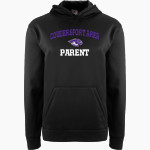 Coudersport Area Falcons BSN SPORTS Youth Recruit Hoodie Front Thumbnail