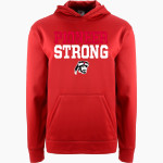 SEVASTOPOL HIGH SCHOOL PIONEERS <span class="pdp-name-mascot">SEVASTOPOL PIONEERS</span> BSN SPORTS Youth Recruit Hoodie Front Thumbnail