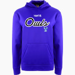 YANTIS HIGH SCHOOL OWLS BSN SPORTS Youth Recruit Hoodie Front Thumbnail