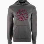Springfield International Charter School BSN SPORTS Youth Recruit Hoodie Front Thumbnail