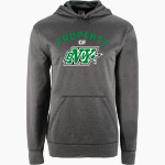 Buffalo Envy Allstar Cheerleading Envy BSN SPORTS Youth Recruit Hoodie Front Thumbnail