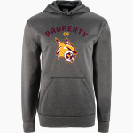 OLMCA Wildcats BSN SPORTS Youth Recruit Hoodie Front Thumbnail