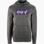 Petaluma Trojans <span class="pdp-name-mascot">Petaluma Trojans</span> BSN SPORTS Youth Recruit Hoodie Front Thumbnail