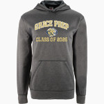 GRACE PREP ACADEMY LIONS <span class="pdp-name-mascot">GRACE LIONS</span> BSN SPORTS Youth Recruit Hoodie Front Thumbnail