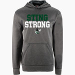 SPECTRUM HIGH SCHOOL STING <span class="pdp-name-mascot">SPECTRUM STING</span> BSN SPORTS Youth Recruit Hoodie Front Thumbnail