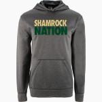 Bishop Feehan Shamrocks <span class="pdp-name-mascot">Bishop Feehan Shamrocks</span> BSN SPORTS Youth Recruit Hoodie Front Thumbnail