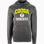 Coosa Bobcats <span class="pdp-name-mascot">Coosa Bobcats</span> BSN SPORTS Youth Recruit Hoodie Front Thumbnail