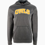 OVERLAKE OWLS ONLINE STORE <span class="pdp-name-mascot">Overlake Owls</span> BSN SPORTS Youth Recruit Hoodie Front Thumbnail