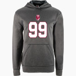 MORAVIAN ACADEMY LIONS <span class="pdp-name-mascot">MORAVIAN ACADEMY LIONS</span> BSN SPORTS Youth Recruit Hoodie Front Thumbnail