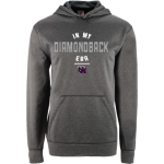 UNION MINE HIGH SCHOOL DIAMONDBACKS <span class="pdp-name-mascot">UNION MINE DIAMONDBACKS</span> BSN SPORTS Youth Recruit Hoodie Front Thumbnail