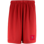 Grace College Lancers <span class="pdp-name-mascot">Grace College Lancers</span> BSN SPORTS Men's Agility 2 Pocket Short Front Thumbnail