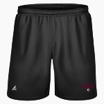 THE DALLES HIGH SCHOOL RIVERHAWKS BSN SPORTS Men's Agility Non-Pocket Short Front Thumbnail