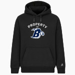SAINT DOMINIC HIGH SCHOOL BAYHAWKS <span class="pdp-name-mascot">SAINT DOMINIC BAYHAWKS</span> BSN SPORTS Men's Cotton Rich Fleece Hoodie Front Thumbnail