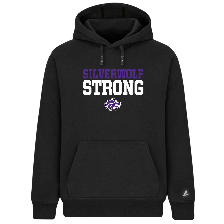 RIVERTON HIGH SCHOOL SILVERWOLVES <span class="pdp-name-mascot">RIVERTON SILVERWOLVES</span> BSN SPORTS Men's Cotton Rich Fleece Hoodie