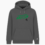 Franklin County Lions <span class="pdp-name-mascot">Franklin County Lions</span> BSN SPORTS Men's Cotton Rich Fleece Hoodie Front Thumbnail