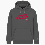 Cornerstone Lions <span class="pdp-name-mascot">Cornerstone Christian Lions</span> BSN SPORTS Men's Cotton Rich Fleece Hoodie Front Thumbnail