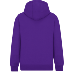 Virginia Peninsula Gators <span class="pdp-name-mascot">Virginia Peninsula Community College Gators</span> BSN SPORTS Men's Cotton Rich Fleece Hoodie Back Thumbnail