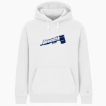 Brandeis Judges Online Store <span class="pdp-name-mascot">Brandeis Judges</span> BSN SPORTS Men's Cotton Rich Fleece Hoodie Front Thumbnail