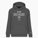 Assumption Greyhounds <span class="pdp-name-mascot">Assumption Greyhounds</span> BSN SPORTS Women's Cotton Rich Fleece Hoodie Front Thumbnail