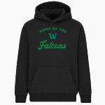 WOODINVILLE HIGH SCHOOL FALCONS <span class="pdp-name-mascot">WOODINVILLE FALCONS</span> BSN SPORTS Youth Cotton Rich Fleece Hoodie Front Thumbnail