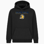 FREDERICK HIGH SCHOOL GOLDEN EAGLES <span class="pdp-name-mascot">FREDERICK GOLDEN EAGLES</span> BSN SPORTS Youth Cotton Rich Fleece Hoodie Front Thumbnail