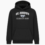 St. Joseph's University, New York <span class="pdp-name-mascot">St. Joseph's University, New York</span> BSN SPORTS Youth Cotton Rich Fleece Hoodie Front Thumbnail