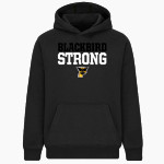 PETTISVILLE BLACKBIRDS ONLINE STORE <span class="pdp-name-mascot">PETTISVILLE BLACKBIRDS</span> BSN SPORTS Youth Cotton Rich Fleece Hoodie Front Thumbnail
