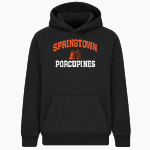 SPRINGTOWN HIGH SCHOOL PORCUPINES BSN SPORTS Youth Cotton Rich Fleece Hoodie Front Thumbnail