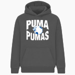 University Prep Pumas <span class="pdp-name-mascot">UNIVERSITY PREP PUMAS</span> BSN SPORTS Youth Cotton Rich Fleece Hoodie Front Thumbnail