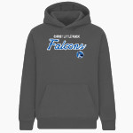 Christ Little Rock Falcons <span class="pdp-name-mascot">Christ Little Rock Falcons</span> BSN SPORTS Youth Cotton Rich Fleece Hoodie Front Thumbnail