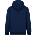 CENTENNIAL HIGH SCHOOL TITANS <span class="pdp-name-mascot">CENTENNIAL TITANS</span> BSN SPORTS Youth Cotton Rich Fleece Hoodie Back Thumbnail