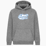 GATEWAY SCIENCE ACADEMY GATORS <span class="pdp-name-mascot">GATEWAY SCIENCE ACADEMY GATORS</span> BSN SPORTS Youth Cotton Rich Fleece Hoodie Front Thumbnail
