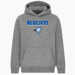 Augusta Bluejays <span class="pdp-name-mascot">Augusta Bluejays</span> BSN SPORTS Youth Cotton Rich Fleece Hoodie Front Thumbnail