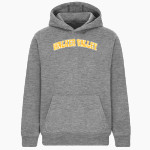 WALKER VALLEY HIGH SCHOOL MUSTANGS BSN SPORTS Youth Cotton Rich Fleece Hoodie Front Thumbnail
