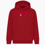 SWARTZ CREEK HIGH SCHOOL DRAGONS <span class="pdp-name-mascot">SWARTZ CREEK DRAGONS</span> BSN SPORTS Youth Cotton Rich Fleece Hoodie Front Thumbnail