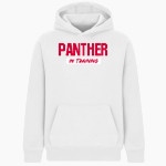 WILMOT UNION HIGH SCHOOL PANTHERS <span class="pdp-name-mascot">WILMOT PANTHERS</span> BSN SPORTS Youth Cotton Rich Fleece Hoodie Front Thumbnail