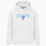 Upper Iowa University Peacocks <span class="pdp-name-mascot">UIU Peacocks</span> BSN SPORTS Youth Cotton Rich Fleece Hoodie Front Thumbnail