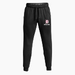 Dunedin Falcons BSN SPORTS Youth Cotton Rich Fleece Joggers Front Thumbnail