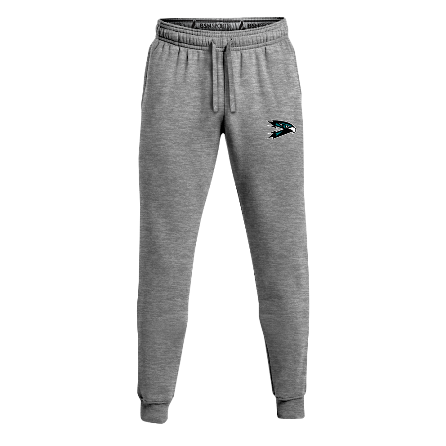 Folsom Lake Falcons <span class="pdp-name-mascot">Folsom Lake College Falcons</span> BSN SPORTS Youth Cotton Rich Fleece Joggers