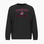 Math & Science Academy Dragons <span class="pdp-name-mascot">Math & Science Academy Dragons</span> BSN SPORTS Men's Cotton Rich Fleece Crew Neck Front Thumbnail