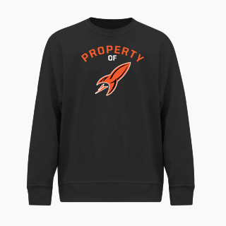 BSN SPORTS Men's Cotton Rich Fleece Crew Neck