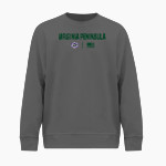 Virginia Peninsula Gators <span class="pdp-name-mascot">Virginia Peninsula Community College Gators</span> BSN SPORTS Men's Cotton Rich Fleece Crew Neck Front Thumbnail