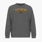 University of Wisconsin-Oshkosh Titans <span class="pdp-name-mascot">University of Wisconsin-Oshkosh Titans</span> BSN SPORTS Men's Cotton Rich Fleece Crew Neck Front Thumbnail