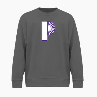 BSN SPORTS Men's Cotton Rich Fleece Crew Neck